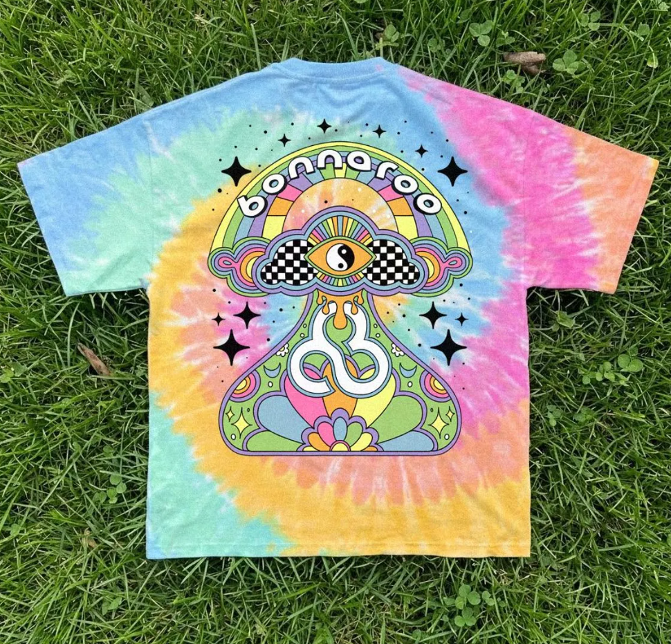 bonnaroo | 2026
